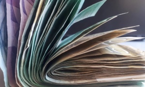 NBS: Evro sutra 117,48 dinara