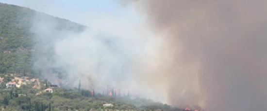 Severna Makedonija: Šteta od šumskih požara premašila četiri miliona evra