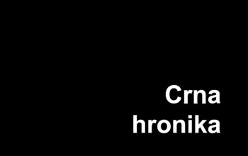 Poginuo putnik, devet osoba povređeno u nezgodi na putu Dolovo–Mramorak