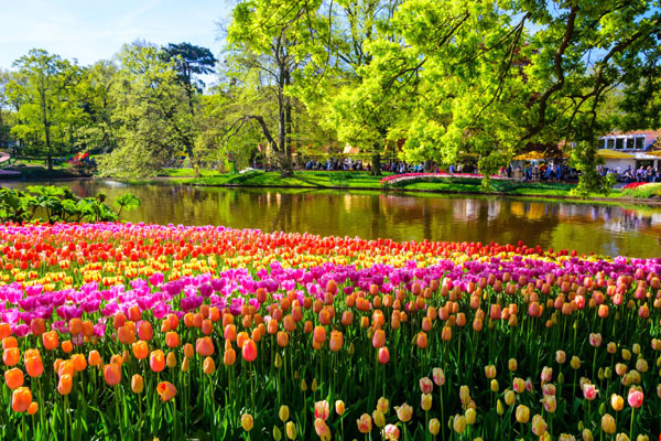 Keukenhof park cveća Holandija
