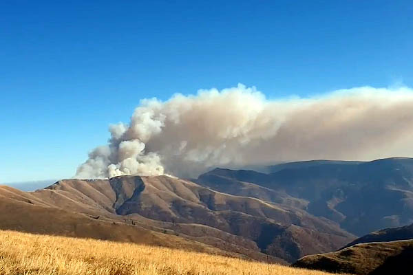 Požar na Staroj planini gasi 55 vatrogasaca, među njima i vatrogasci iz Pančeva