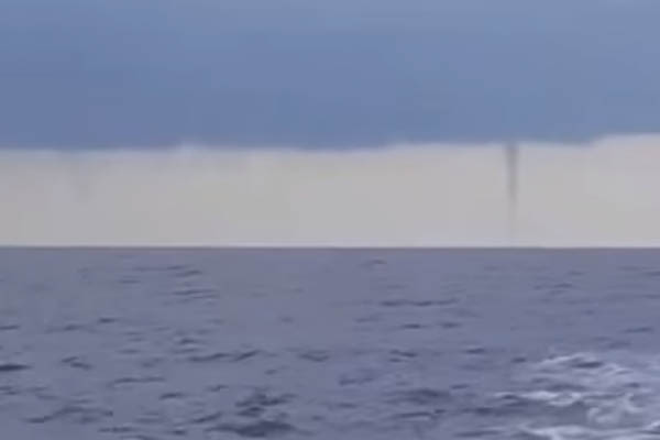 Nekoliko pijavica zabeleženo u Istri (VIDEO)
