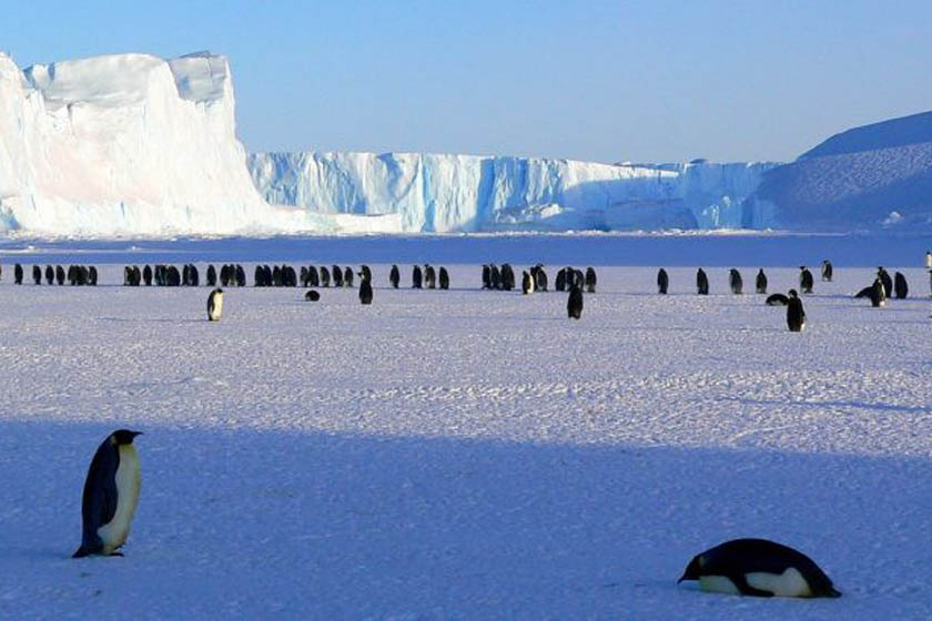 Na Antarktiku izmereno rekordnih 18,3 stepena