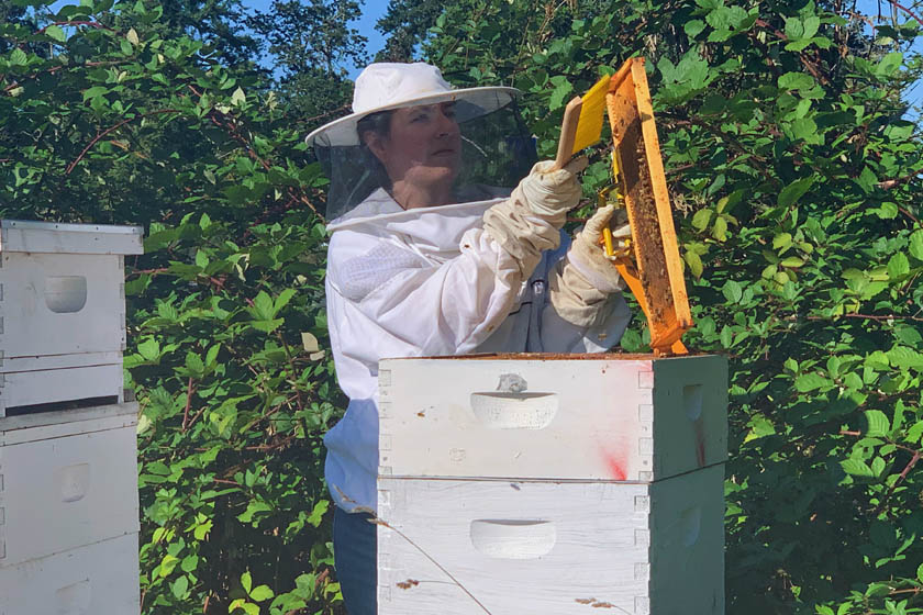 Potpisivanje peticije za zaštitu pčela važno je za sve nas