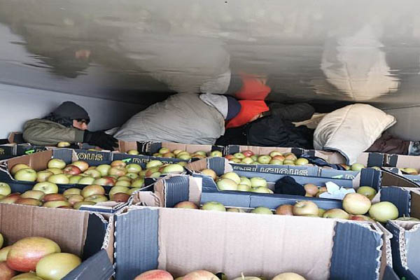 Migranti otkriveni među jabukama
