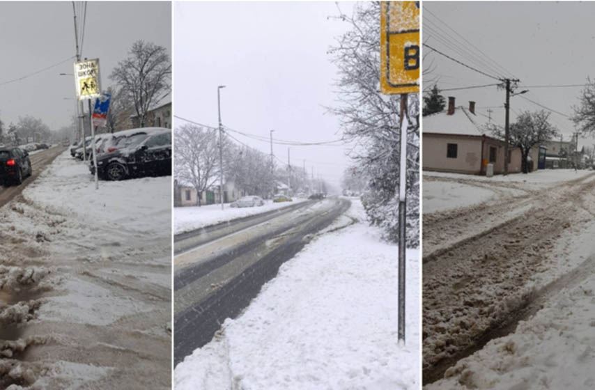 stranka slobode i pravde, ssp pancevo, natasa zecevic