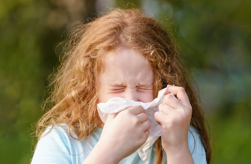 koncentracije polena u vazduhu, zavod za javno zdravlje pancevo