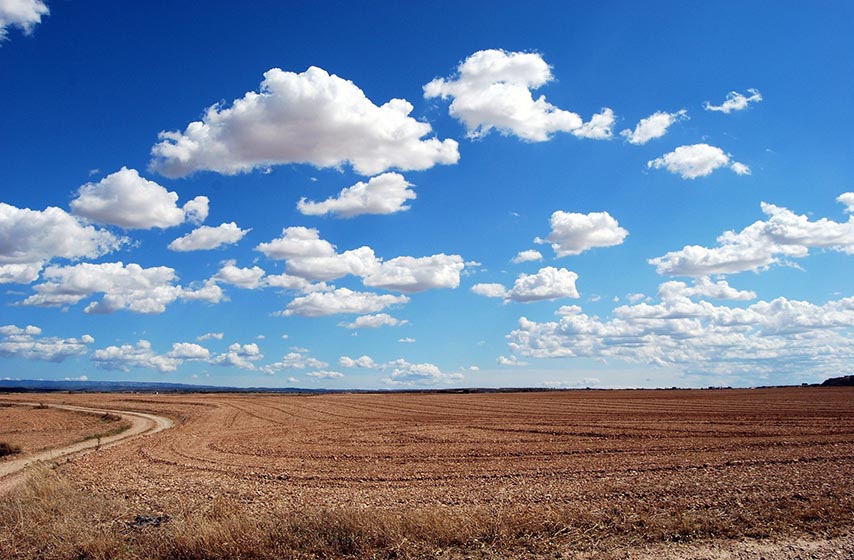 vojvodina, klimatske promene