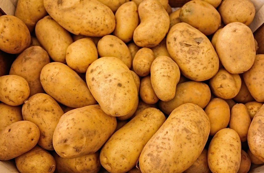 cuvanje krompira, kako cuvati krompir