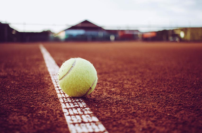 tenis, novak djokovic, sport