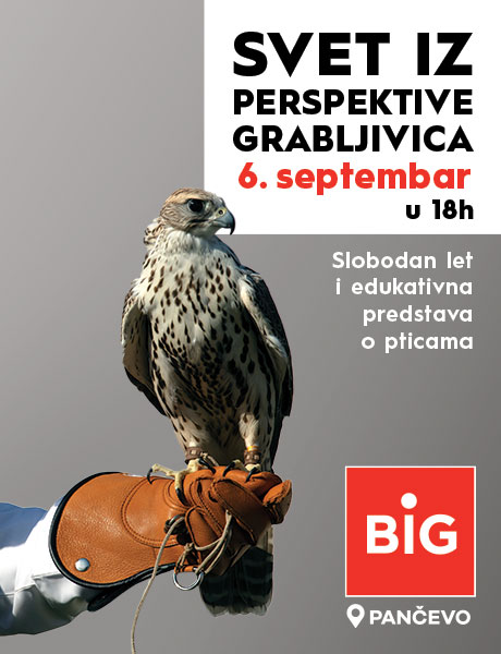 SVET IZ PERSPEKTIVE GRABLJIVICA
