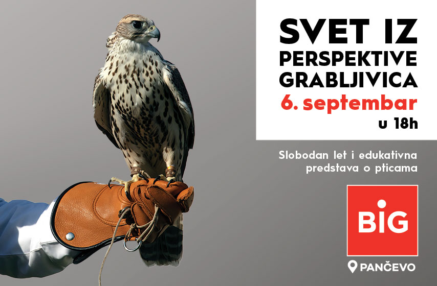SVET IZ PERSPEKTIVE GRABLJIVICA