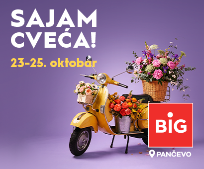 BIG SAJAM CVEĆA