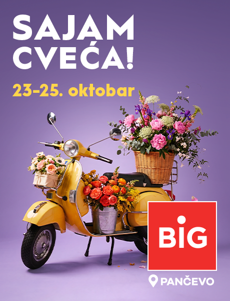 BIG SAJAM CVEĆA