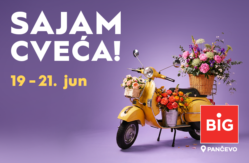BIG SAJAM CVEĆA