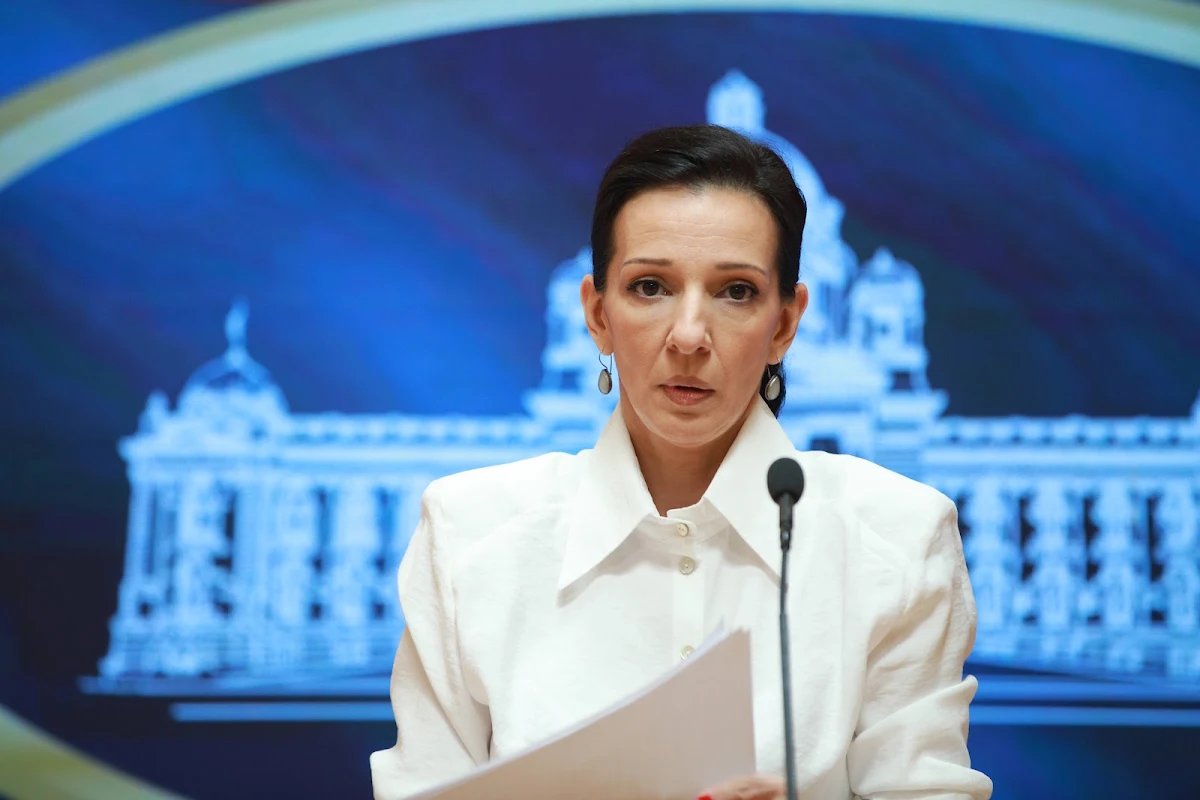 Marinika Tepić, TOK, SNS, BIRN, Momčilo Marjanović, istraga