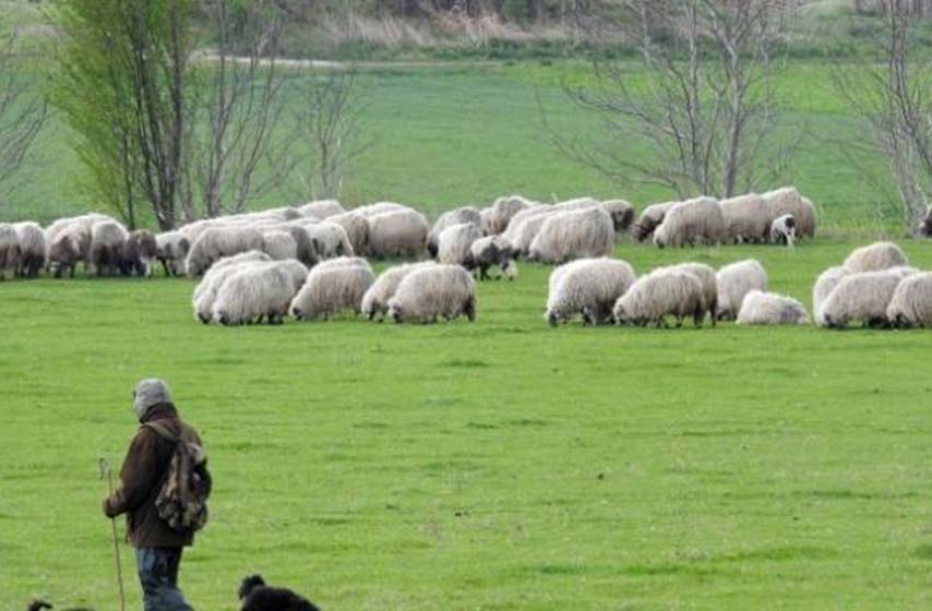 zapadna srbija, poljoprivrednici