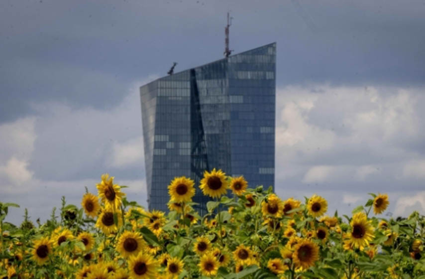 evropska centralna banka, kamatna stopa