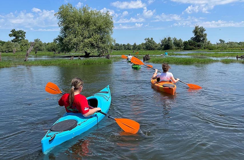 pancevacka regata, pancevo