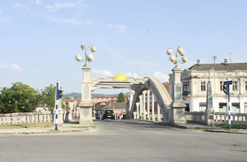 predrag delic, narodni pokret srbije, politika, srbija