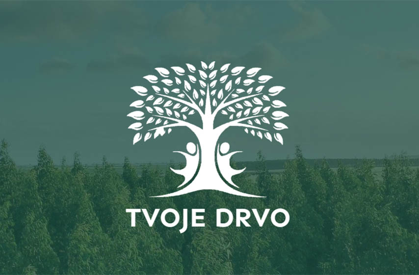 tvoje drvo, platforma, zasadi drvo, pancevo, lokalne vesti, vesti pancevo, k-013