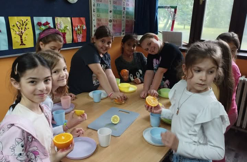 os bratstvo jedinstvo, pancevo, vocna salata, k-013, vesti pancevo