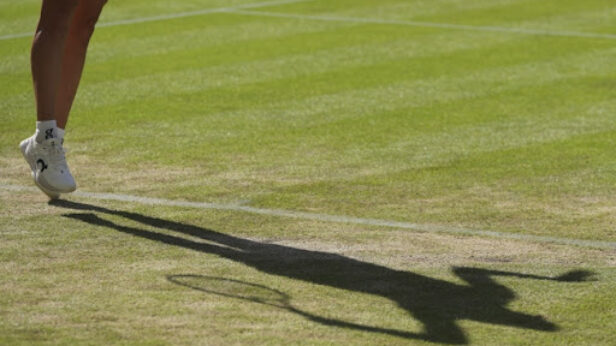 olga danilovic, wta lista, tenis