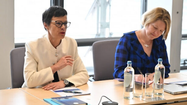 marta kos, evropska unija