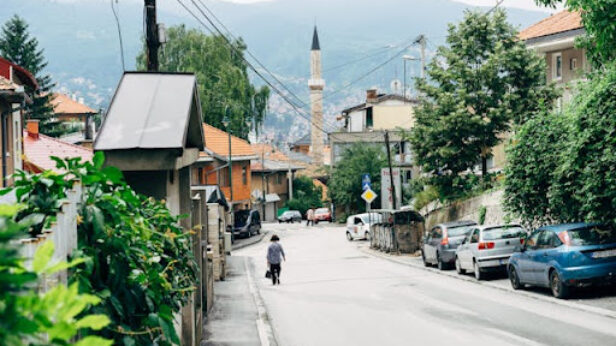 ilon mask, bosna i hercegovina, istrazivacki institut