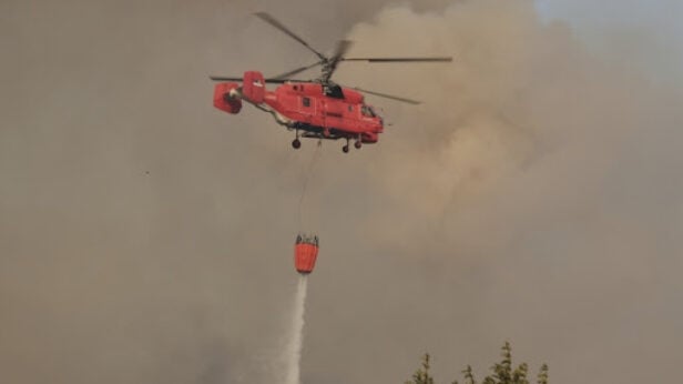 dan zalosti, crna gora, k-013