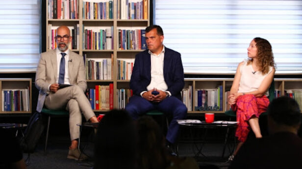 pravni strucnjaci, pomilovanje, aleksandar vucic