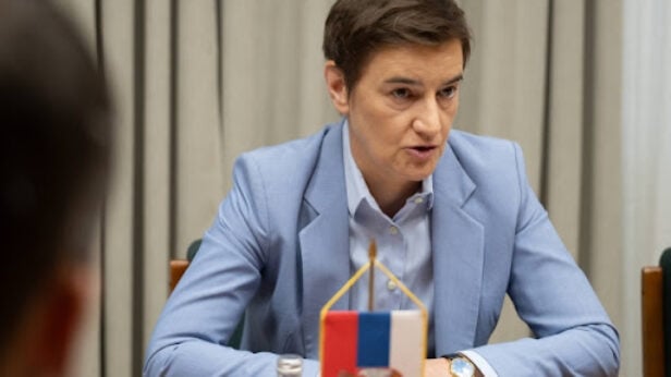 nacionalni konvent o evropskoj uniji, ana brnabic