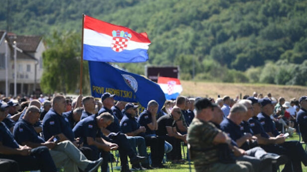 ministarstvo spoljnih poslova srbije, nevena jovanovic, tonino picula