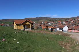 srpski narodni pokret, ivan petrovic, strajk gladju, k-013, kosovo i metohija, izbori