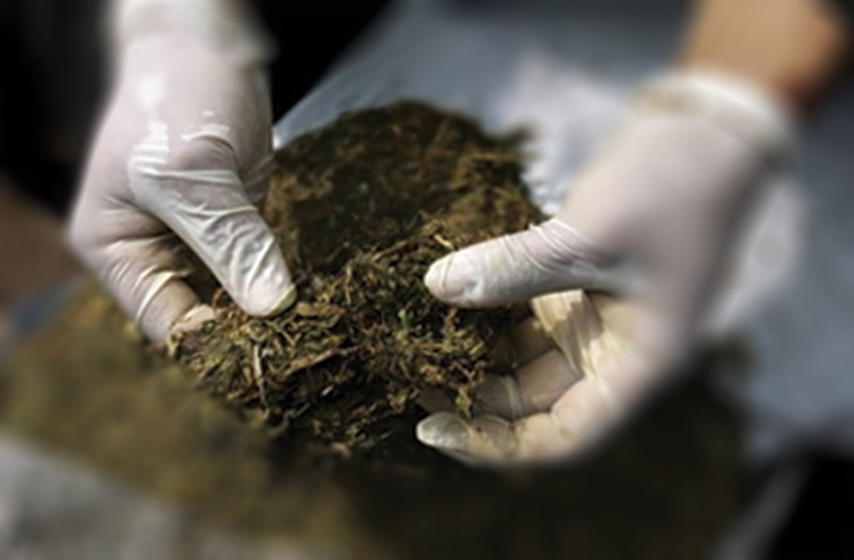 k-013, vesti srbija, vesti novi sad, novi sad, hapsenje, droga, nelegalna municija