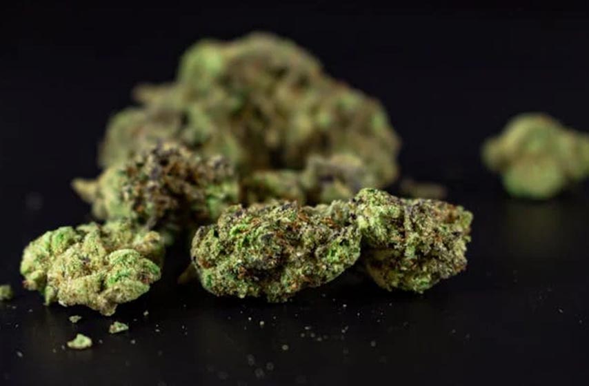 konjuh, marihuana, k-013, vesti srbija