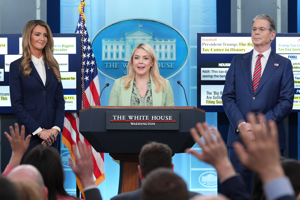 kerolajn, livit,, bela, kuca