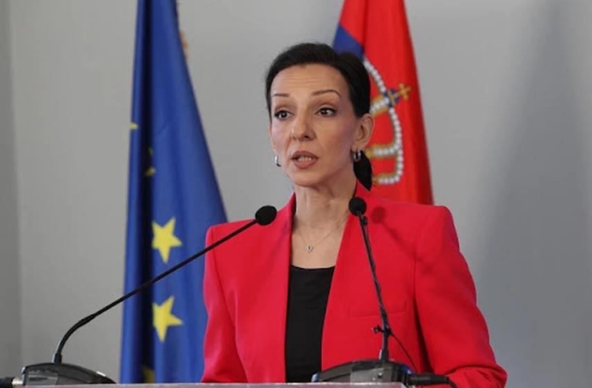 stranka slobode i pravde, ssp, marinika tepic, milos vucevic, krivicna prijava