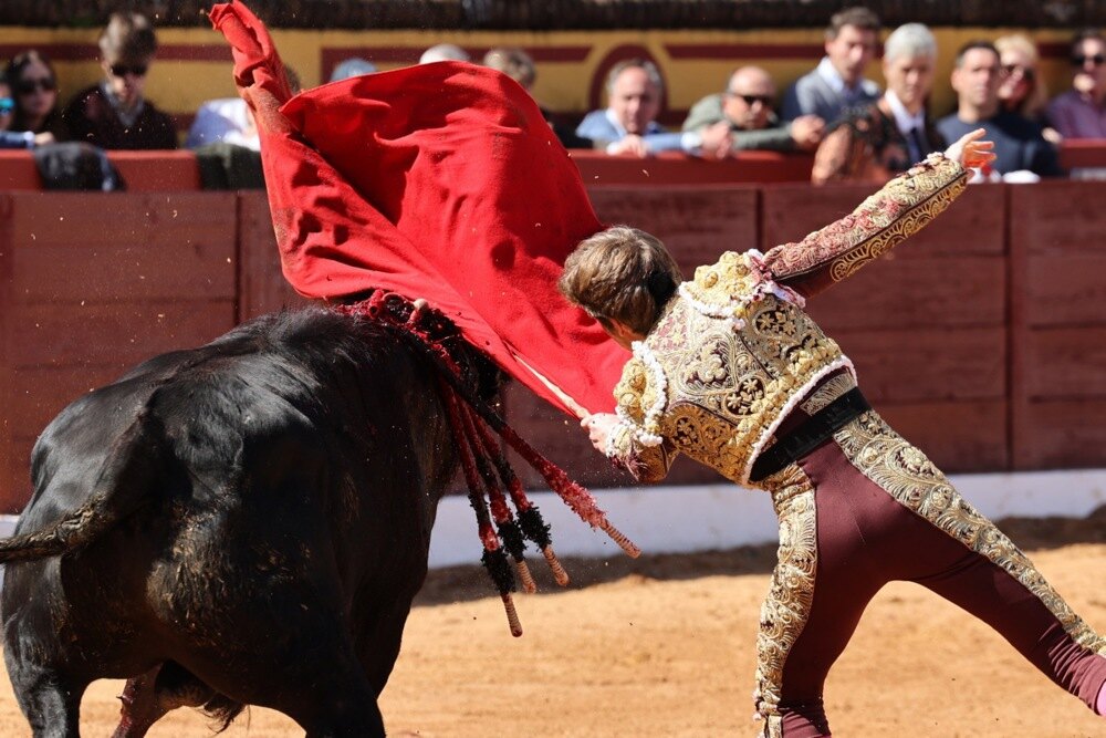 Teško povređen toreador, k-013, vesti srbija, toerador