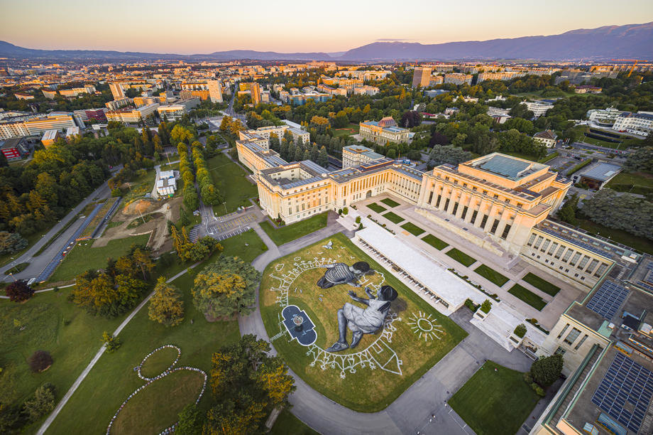 ženeva, delegacija srbije, ukidanje rasne diskriminacije, deklaracija