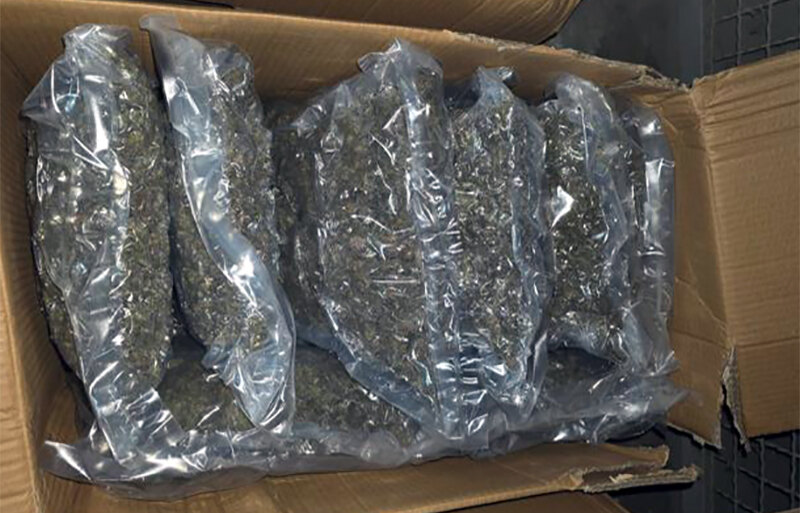 marihuana, niš, zaplena, hapšenje, 21 kg, k-013, vesti srbija