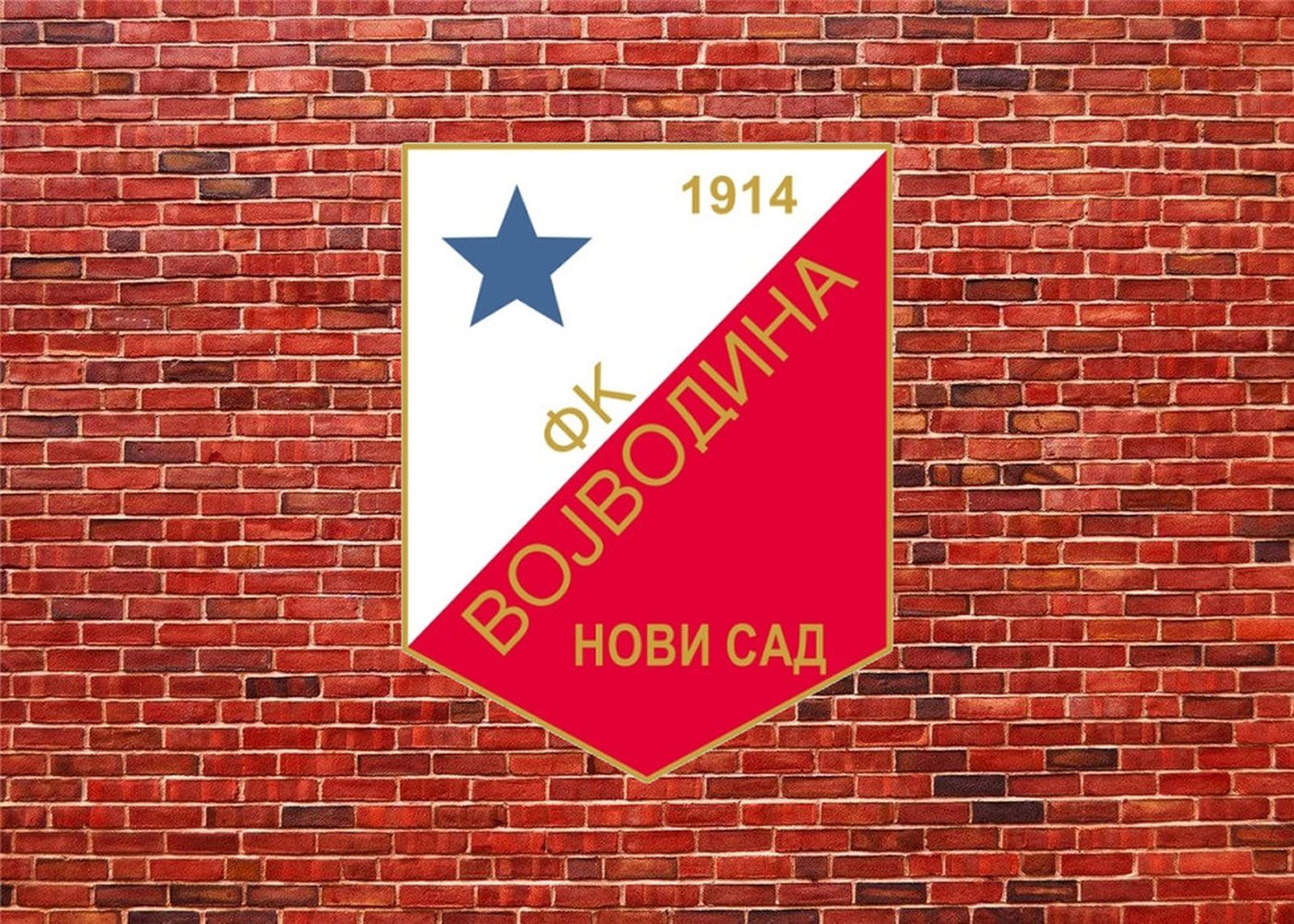 Vojvodina, OFK Beograd, Superliga Srbije, fudbal, Kup Srbije