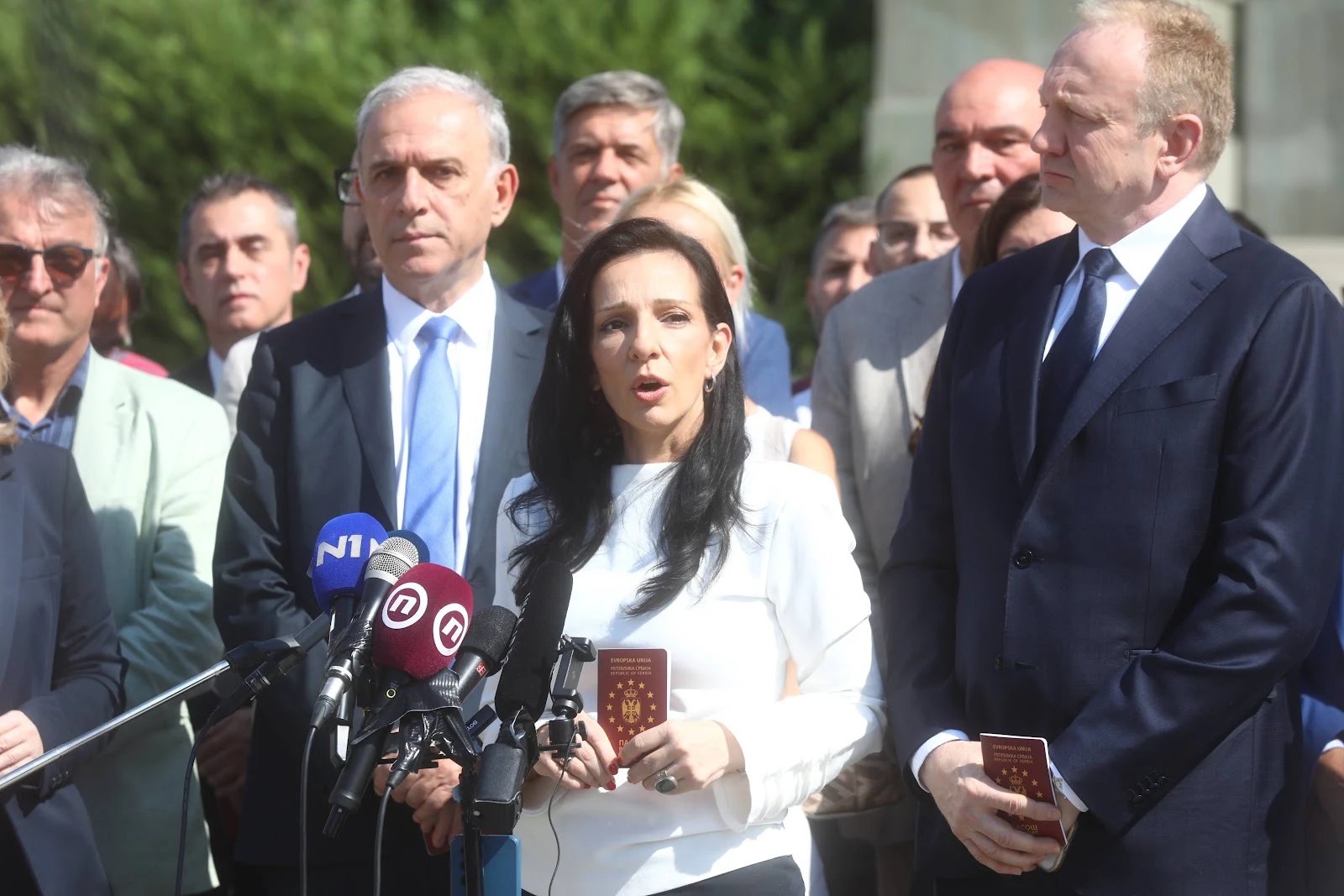 Marinika Tepić, Evropska Srbija, Evropska unija, evropske integracije, SSP, članstvo u EU