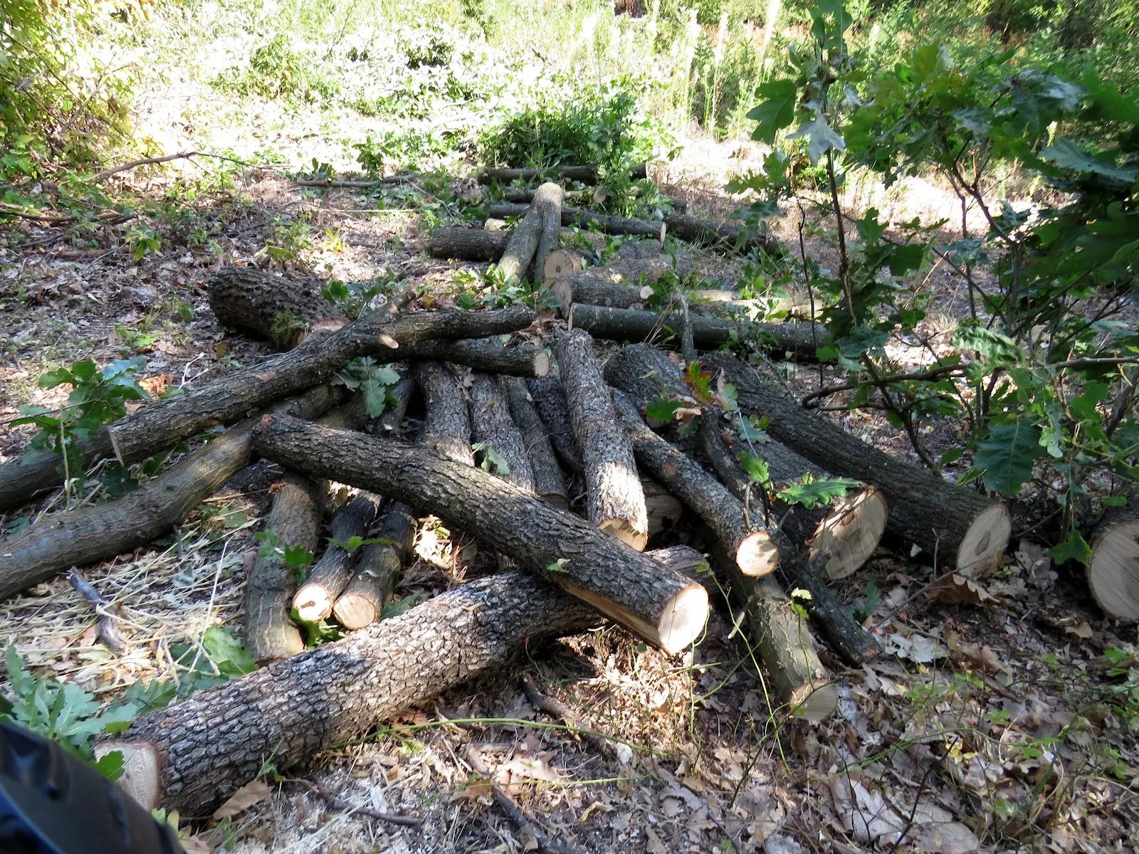 klimatske promene, Balkan, Srbija, Aleksandar Valjarević, suša, vode