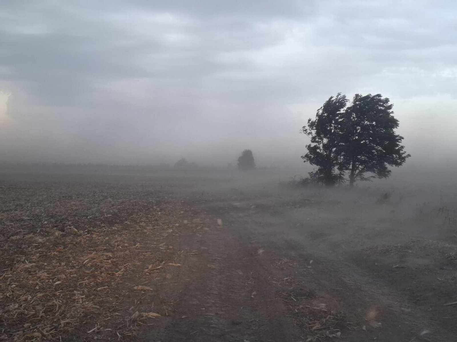 oluja Osten, Francuska, jak vetar, nestanak struje, saobraćaj, Meteo-Frans