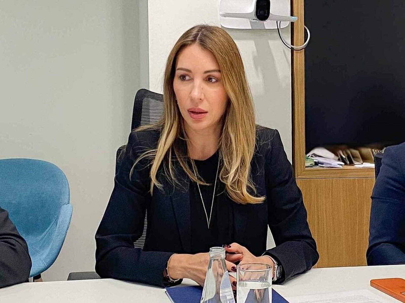 Dubravka Đedović Handanović, energetika, Srbija, ulaganja, subvencije, energetska stabilnost
