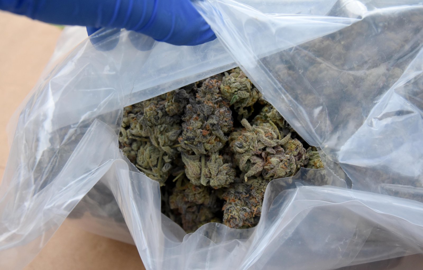 Niš, hapšenje, marihuana, kokain, neovlašćena proizvodnja i stavljanje u promet opojnih droga, MUP