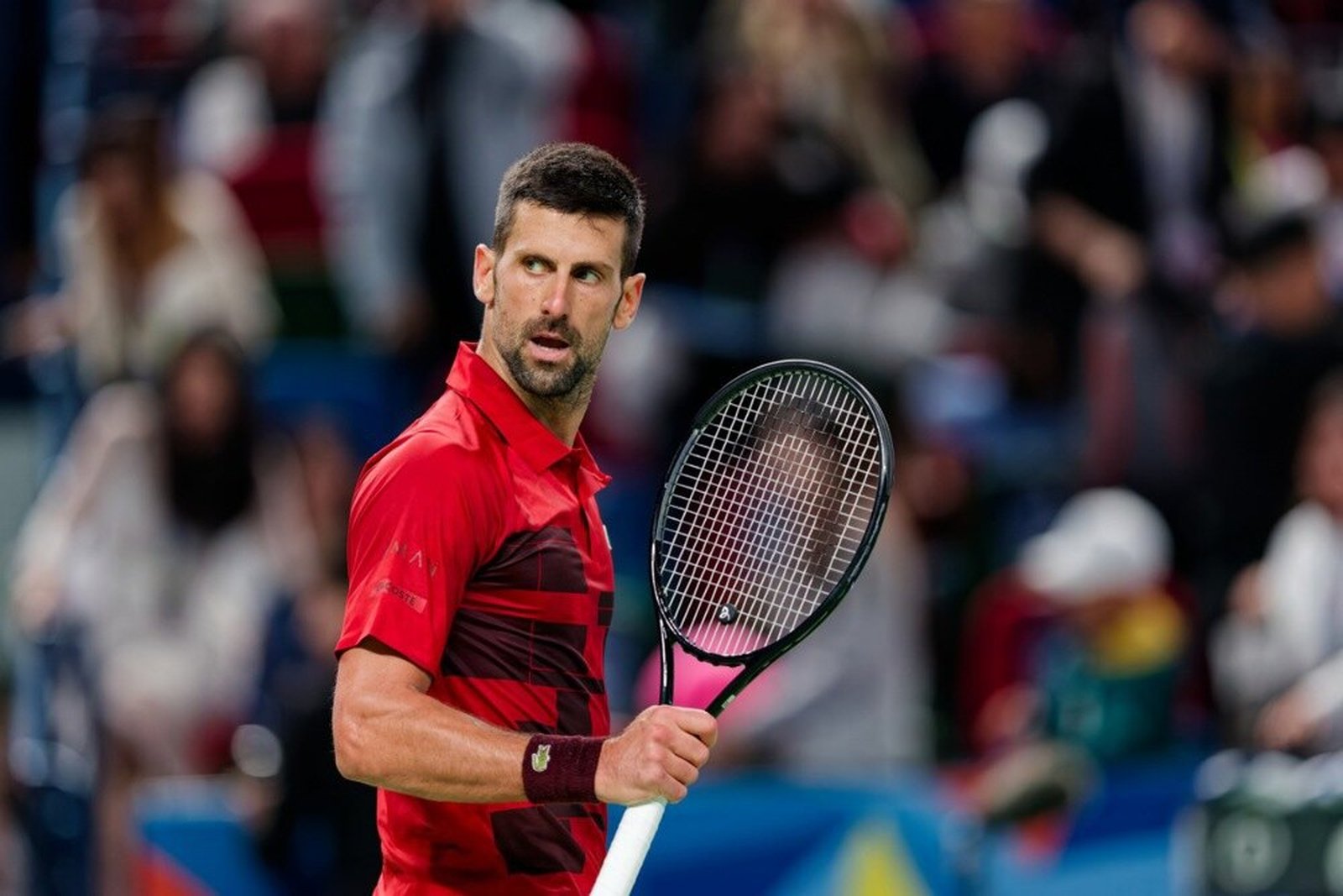 Novak Đoković, Igo Amber, Bazel, ATP turnir, žreb, ATP finale u Torinu