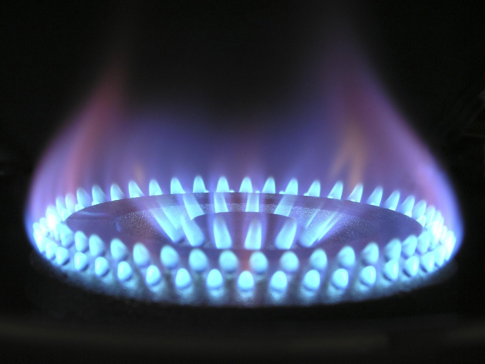 Srbijagas, Omoljica, gasni priključak, Pančevo, distributivna gasovodna mreža