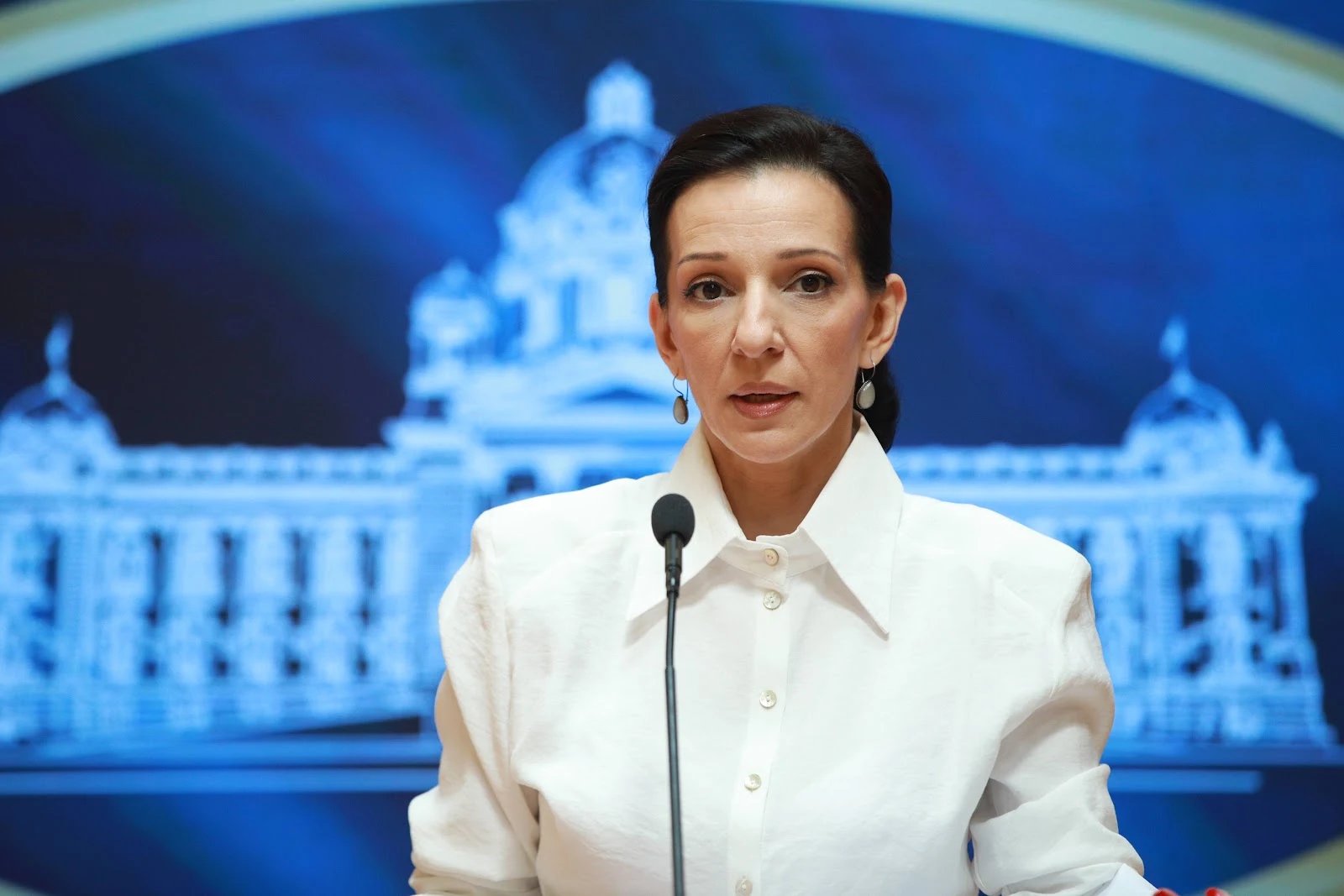 Marinika Tepić, Evropska Srbija, izborna lista, Evropska unija, podrška evropskih stranaka